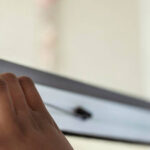 mosquiteras enrollables